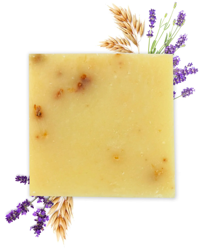 Confezione Poggia Sapone + Sapone Avena e Lavanda OFFICINA DEI SAPONI