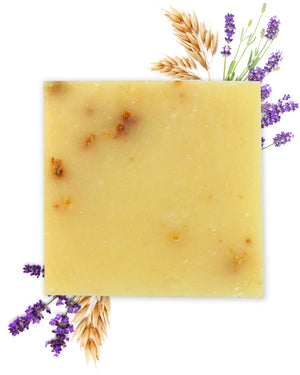 Confezione Poggia Sapone + Sapone Avena e Lavanda OFFICINA DEI SAPONI