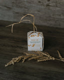 Piccoli Semi Shampoo, 90 gr. ETHICAL GRACE