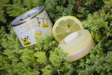 Camperò - Sapone solido 3 in 1 per mani, piatti e bucato Ethical Grace