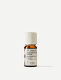 Olio Essenziale di Cannella Cassia 10 ml Olfattiva